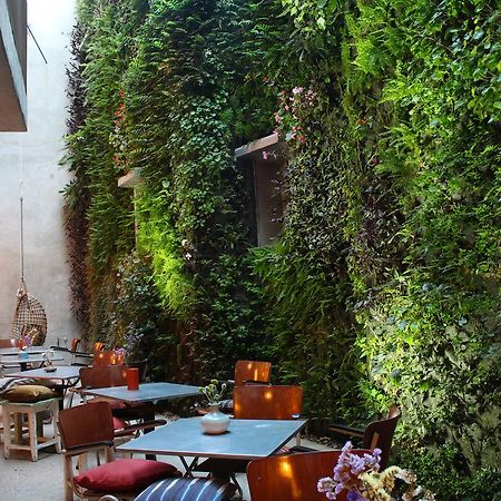 Kook Hotel Tarifa Eksteriør billede