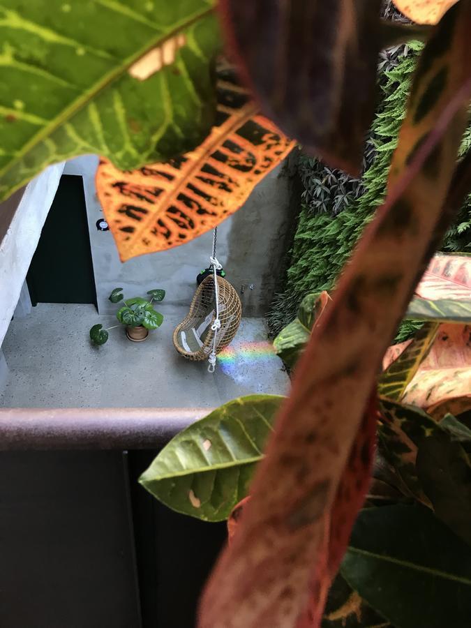 Kook Hotel Tarifa Eksteriør billede